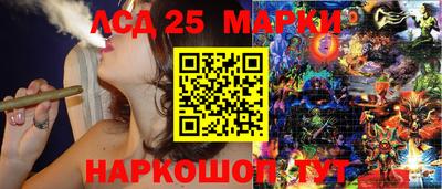 индика Комсомольск-на-Амуре