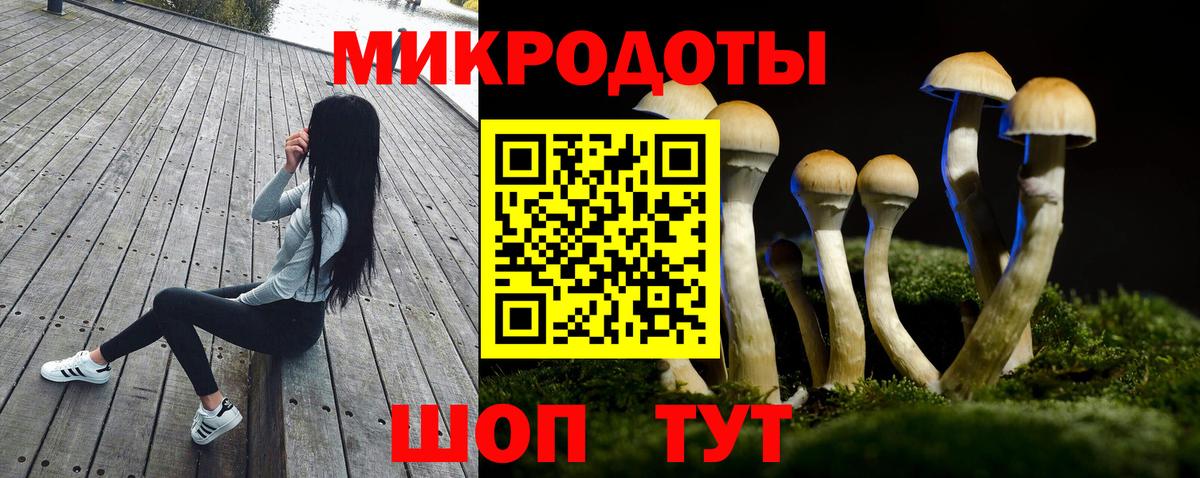 Касимов  Псилоцибиновые грибы прущие грибы  Вход с VPN 