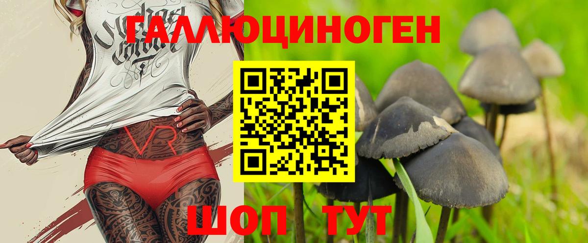 Псилоцибиновые грибы MAGIC MUSHROOMS Касимов